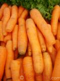Գազար - Морковь - Carrot