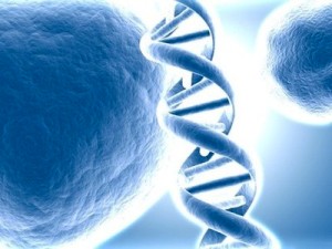 Генетики доказали эффективность диеты на основе ДНК