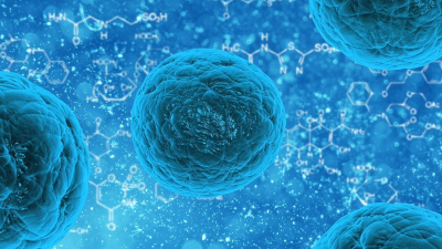 Գիտնականները ստեղծել են 3D- գել` ցողունային բջիջների ավելի արդյունավետ ստացման համար. biostem.am