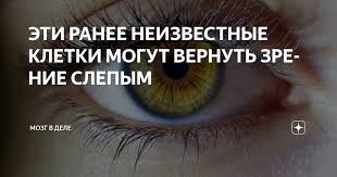 Эти ранее неизвестные клетки могут вернуть зрение слепым