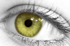 Մարդու աչքերի գույնը և բնավորությունը. դեղին, մոխրագույն, մոխրականաչ աչքեր