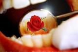 Մարտի 9-ը` Ատամնաբույժի միջազգային օր