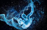 ДНК и подсознание: Информационные вирусы