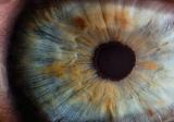 Инъекции генов в глаза остановят потерю зрения
