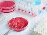 Ученые ставят под сомнение заявления о пользе заменителей мяса