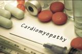 Обновленные рекомендации по лечению пациентов с гипертрофической кардиомиопатией Американской коллегии кардиологов